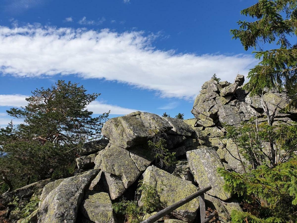 Ferienwohnung Fichtelmountain フィヒテルベルク エクステリア 写真